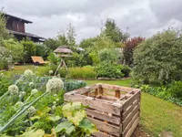 Blick in den Garten