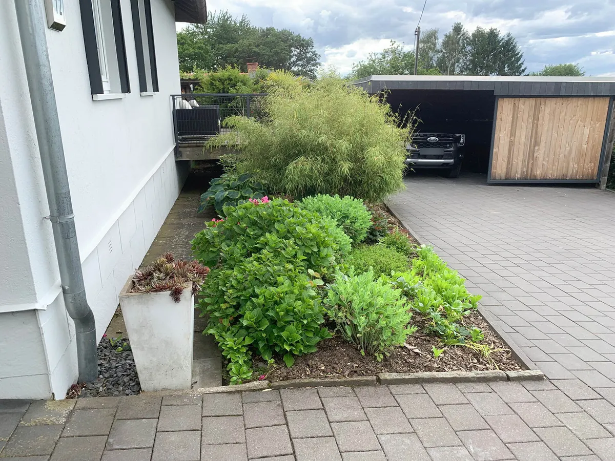 Seitenansicht