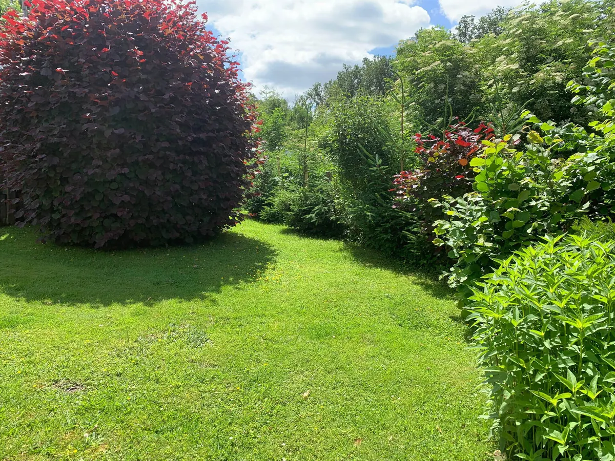Traumgarten