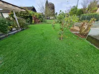 Blick in den Garten