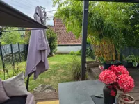 Blick in den Garten