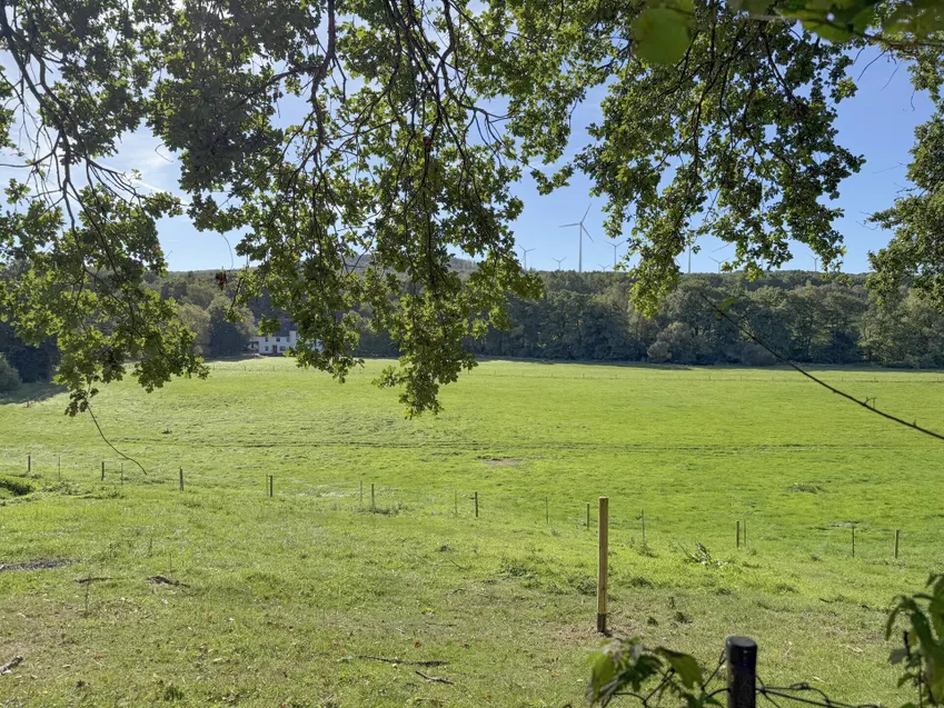 Weitblick über die umliegenden Wiesen