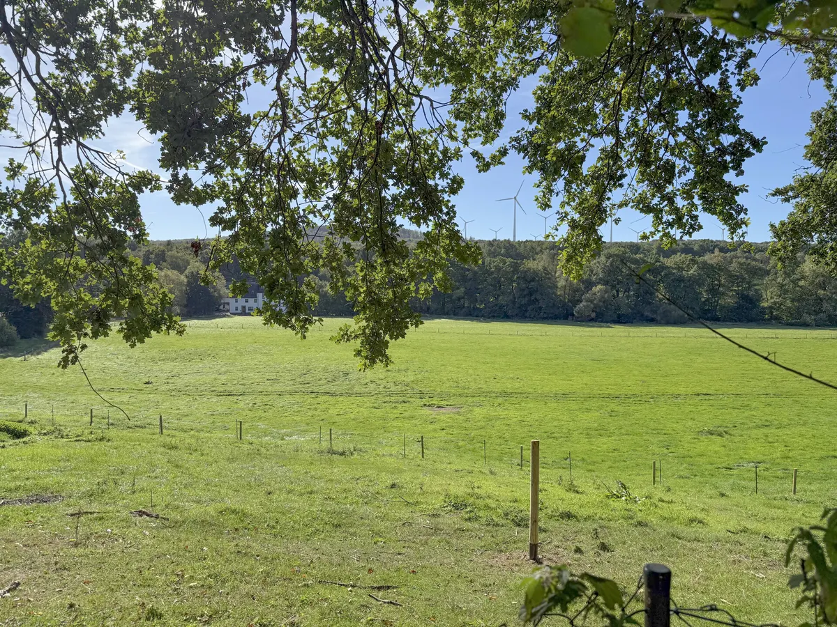 Weitblick über die umliegenden Wiesen