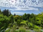 Blick in den Garten