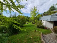 Blick in den Garten