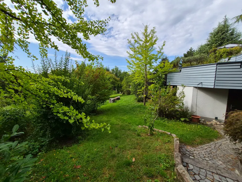 Blick in den Garten