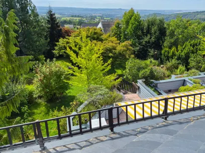 Blick in den Garten