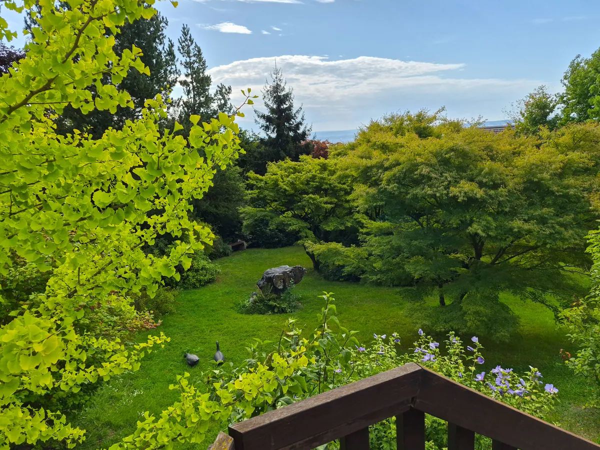 Blick in den Garten