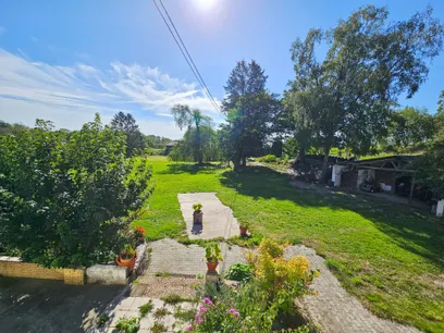 Blick in den Garten