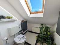 WC DG