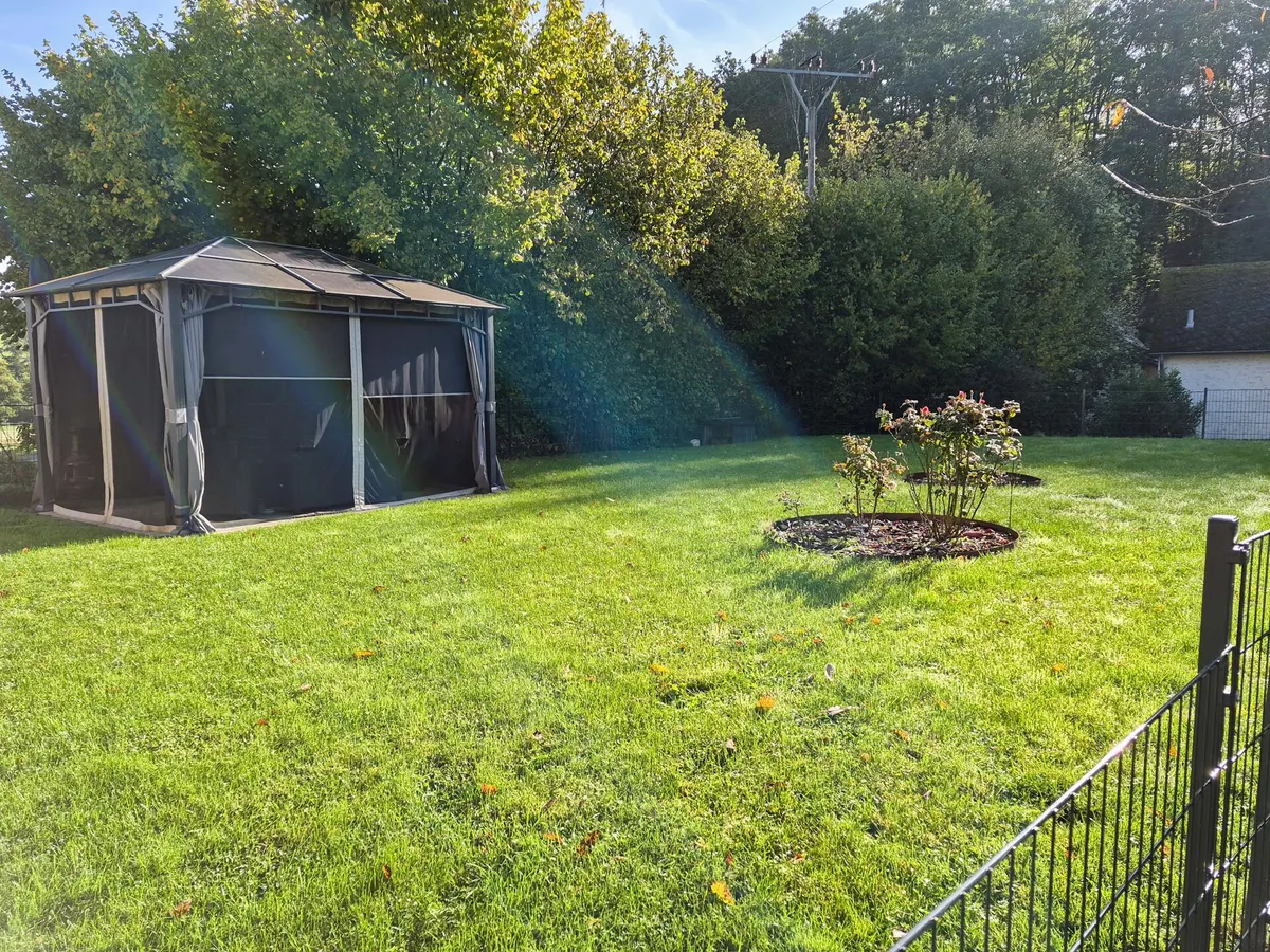 Blick in den Garten