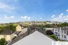 Fernblick