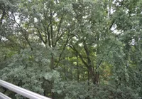 Ausblick vom Balkon