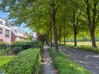 Allee