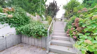 geschmackvolles Entrée
