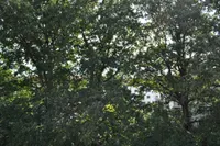 Blick vom Balkon