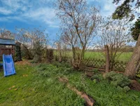 Blick aus dem Garten