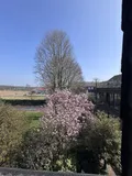 Schöne Aussichten