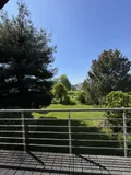 Blick ins Grüne! 