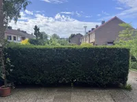 Geschützte Terrasse 