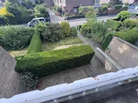 Blick Balkon Gartenanlage 