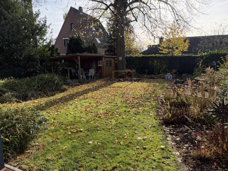 Alter Baumbestand im Garten 