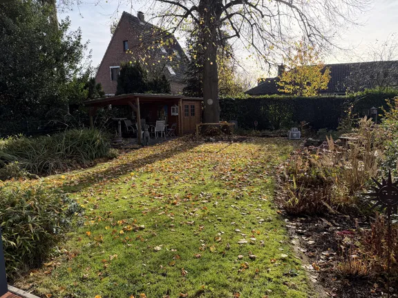 Alter Baumbestand im Garten 