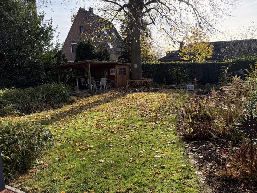 Alter Baumbestand im Garten 