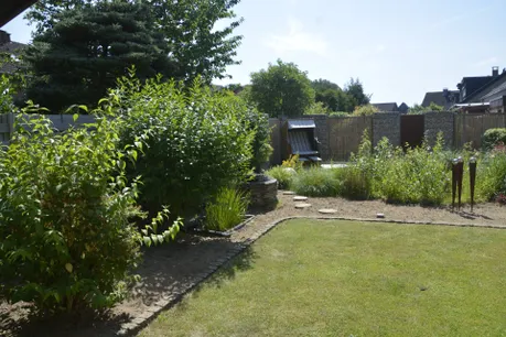 Garten im Sommer