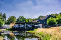 Blick über den Teich 