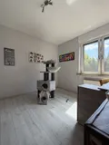 ...oder Spielzimmer für Katzenkinder