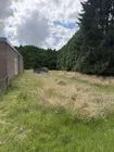 Wiesenfläche hinter dem Haus 
