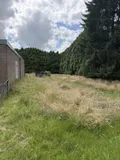 Wiesenfläche hinter dem Haus 