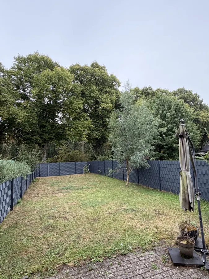 Pflegeleichter Garten