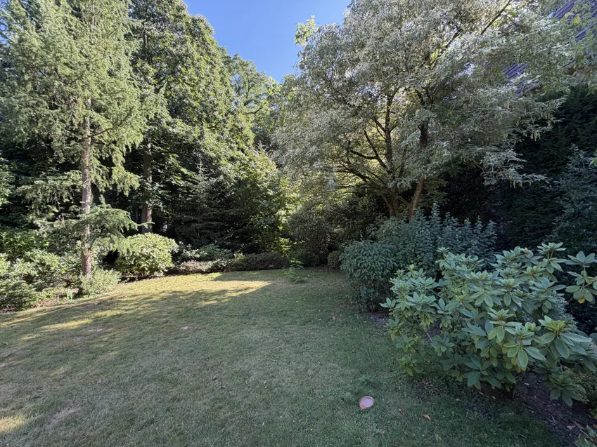 Parkähnlicher Garten 