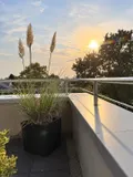Sundowner garantiert 