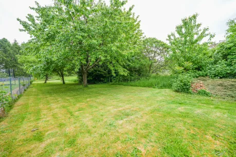 Gartenbereich 2
