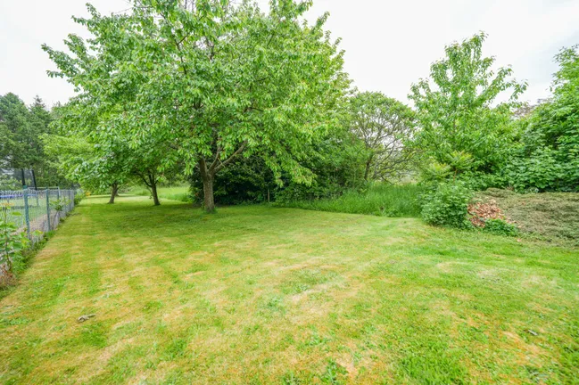 Gartenbereich 2