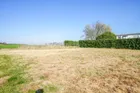 Gartenfläche