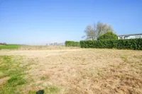 Gartenfläche