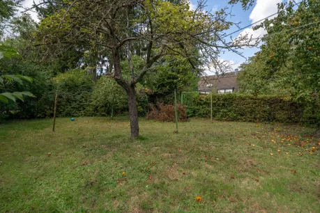 Gartenbereich 2
