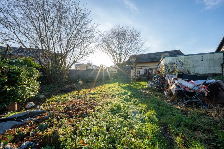 Garten hinteres Haus