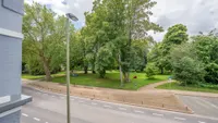 Parkblick