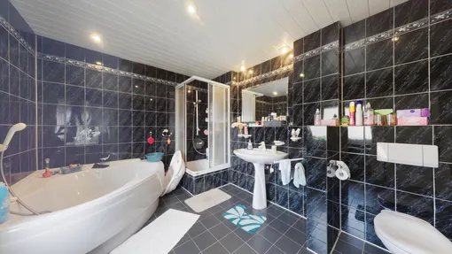Badezimmer_Hinterhaus