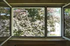 Ausblick Fenster