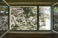 Ausblick Fenster