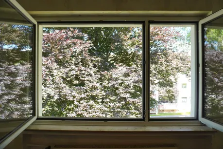 Ausblick Fenster
