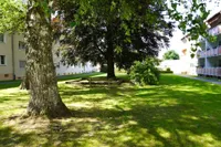 Gemeinschaftsgarten 1