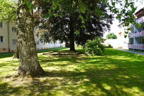 Gemeinschaftsgarten 1