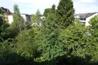 Ausblick vom Balkon